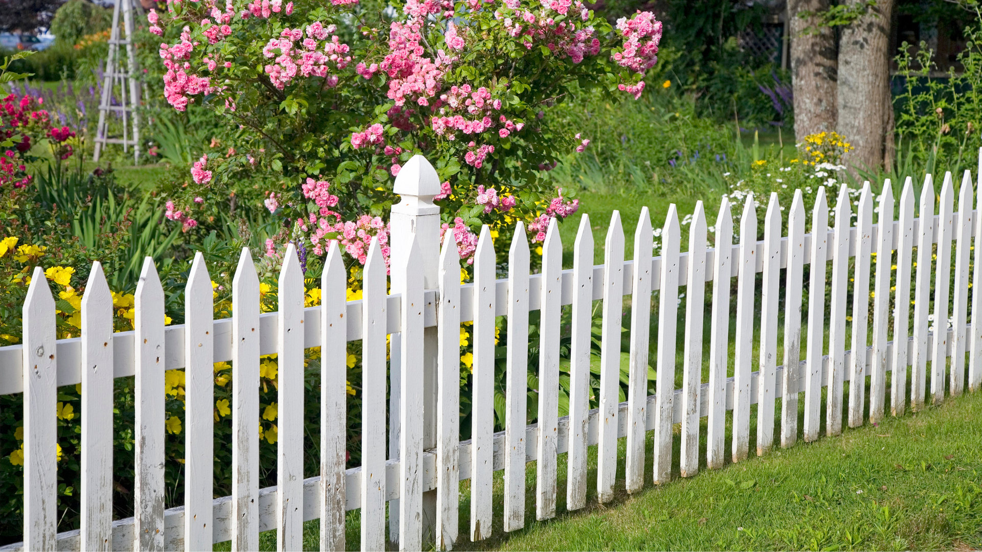 9 Types of Garden Fence | Garden Fencing Guide